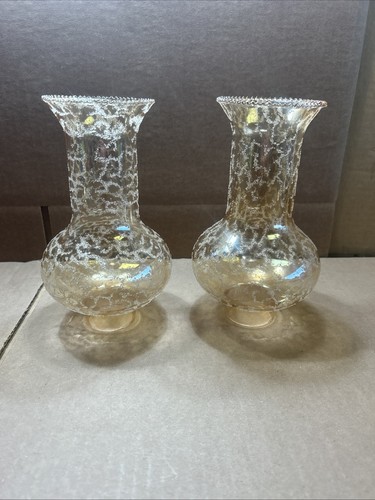 Pair vintage floral frosted - floral,